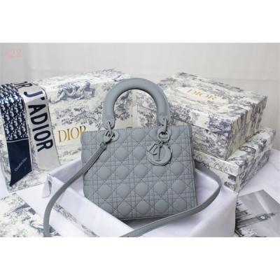 Dior Bags AAA 008